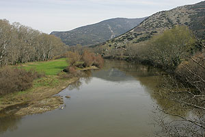 Ο Πηνειός Ποταμός