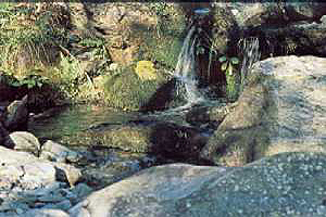 Εξορμή στη φύση