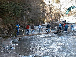 Το ιχθυοτροφείο