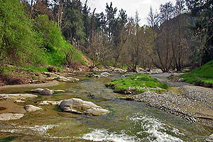 Η κοίτη του Ελασσονίτη