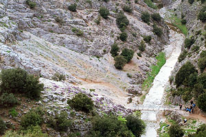 Το Φαράγγι της Χράπας