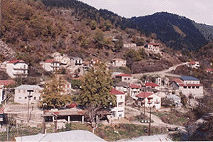 Τα δάση του Καταφύτου