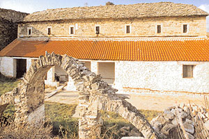 Άγιος Αντώνιος Κοκκινογείου