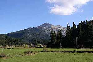 Τα Πετρουλιώτικα Λιβάδια