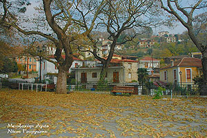 Το Μεταξοχώρι