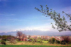 Πανοραμική Άποψη της Μηλέας