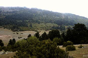 Περιοχή Μπεχτέσι