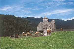 Το Περτούλι