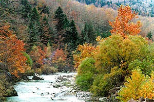 Ο χείμαρρος Ποττόκος