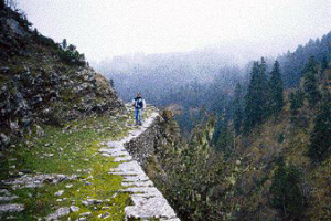 Η πλούσια βλάστηση της Πύρρας