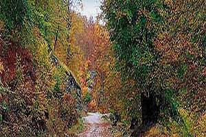 Σπάνια φυσική ομορφιά